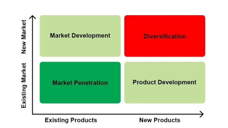 What Are the Four Major Growth Strategies?